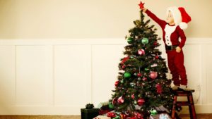 Christmas Tree - Christmas Day