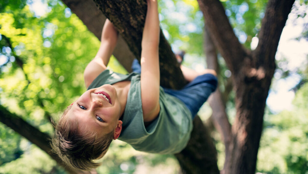 Climbing - Tree climbing